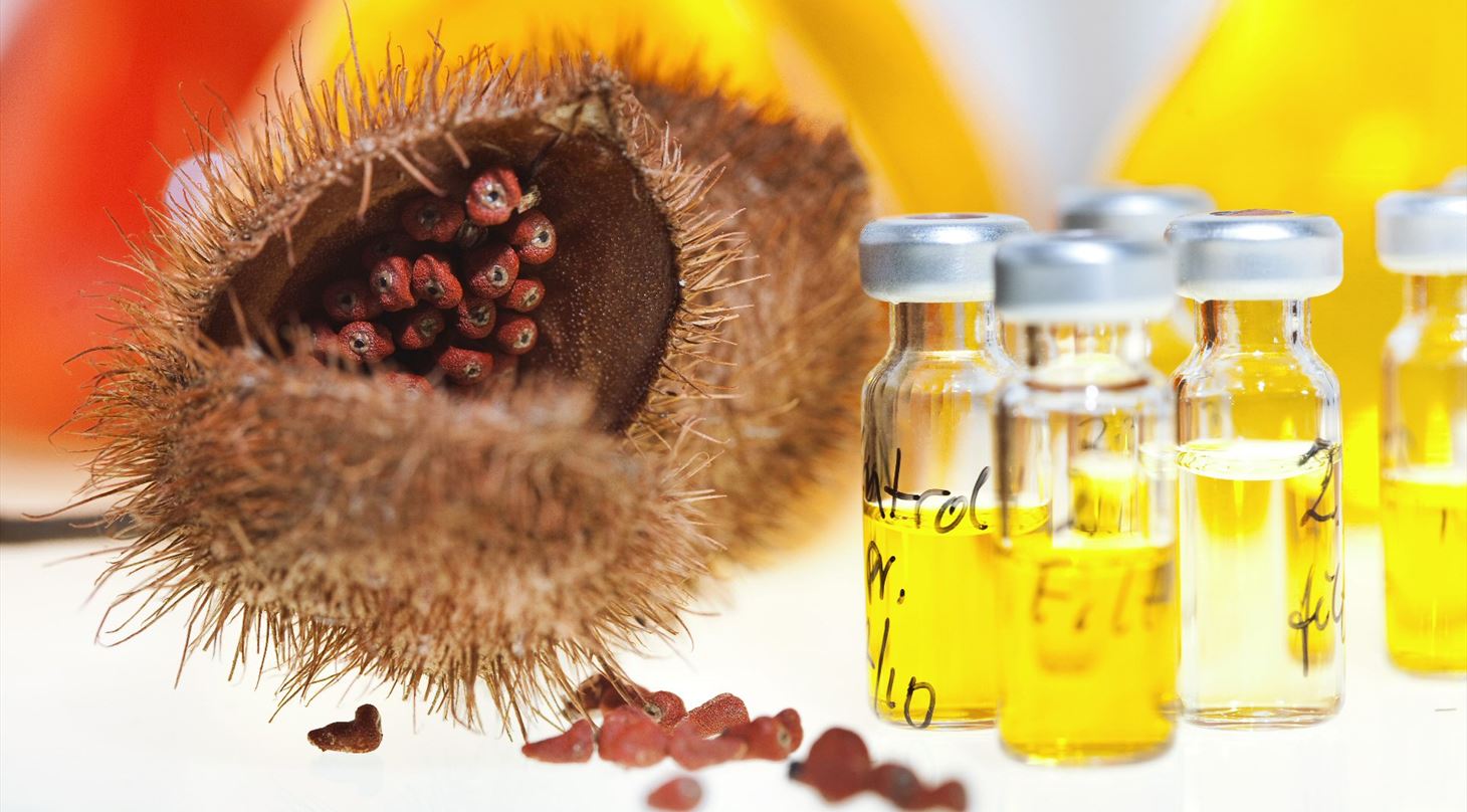 Ingredienser f�devarer